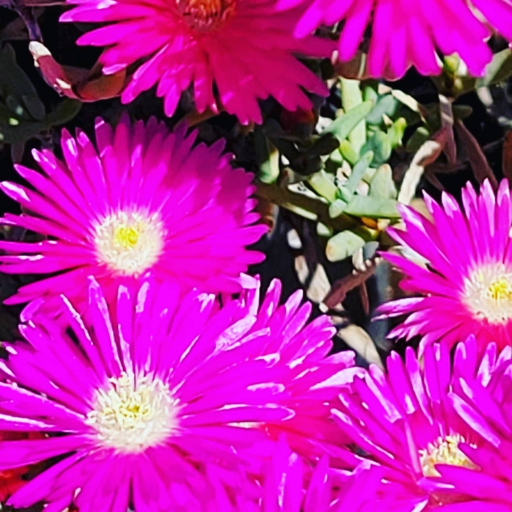 Sold! Holding 4 Tparke